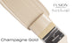 Champagne Gold Metallic Paint