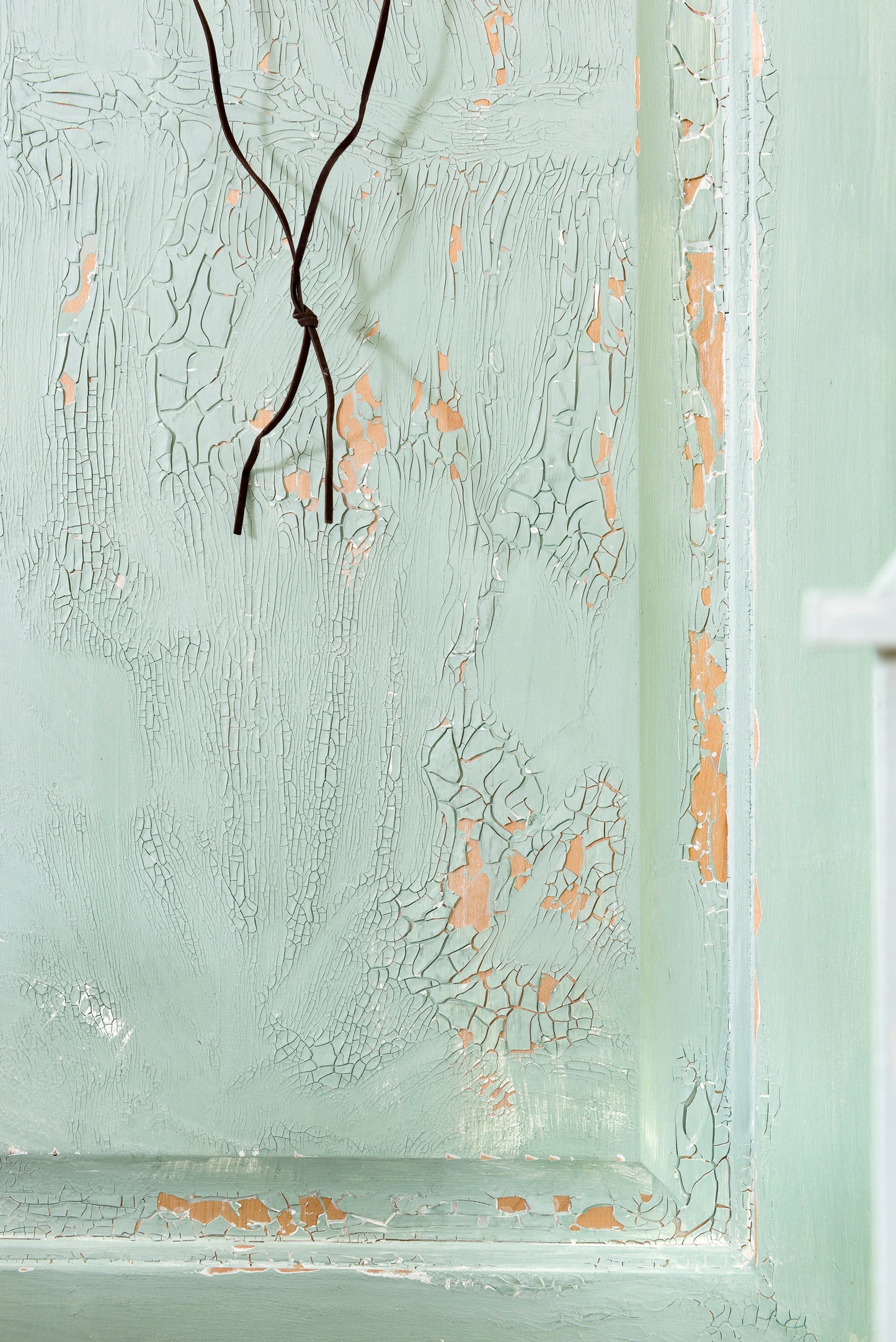 Crackled Texture
