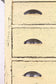 Ochre US