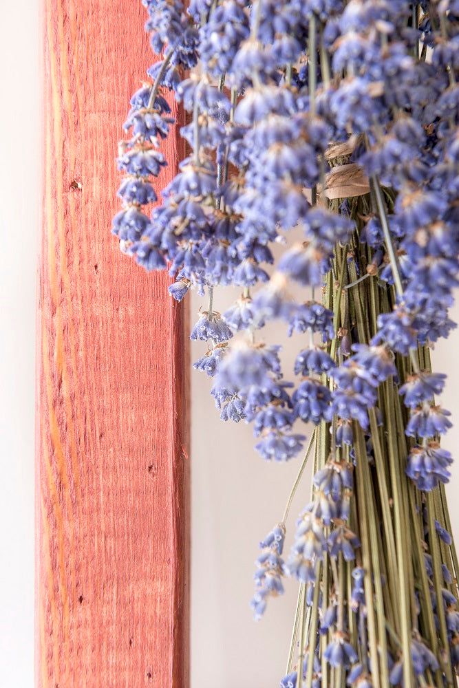 Pacific Redwood - MILK PAINT STAIN US