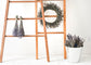 Quebec Maple - MILK PAINT STAIN US